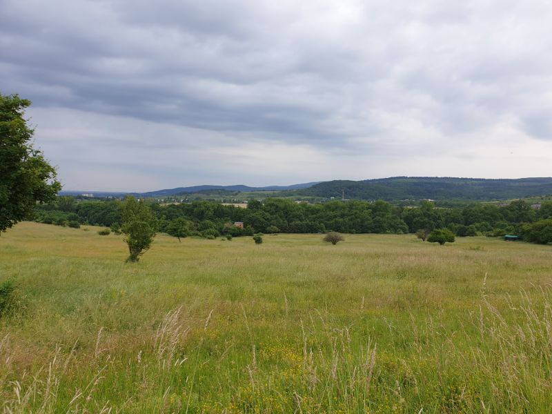 Vendita Terreni agricoli e forestali, Terreni agricoli e forestali, Ku