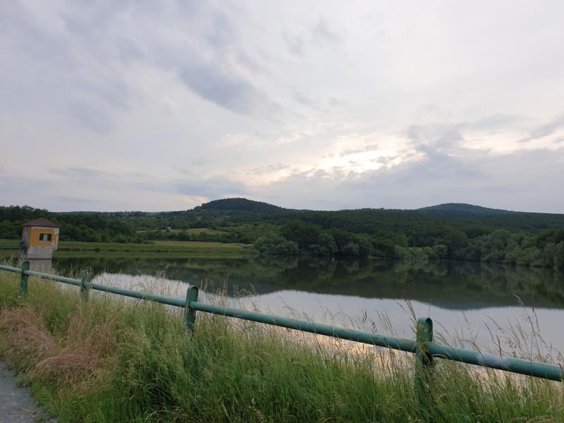 Vendita Terreni agricoli e forestali, Terreni agricoli e forestali, Ku